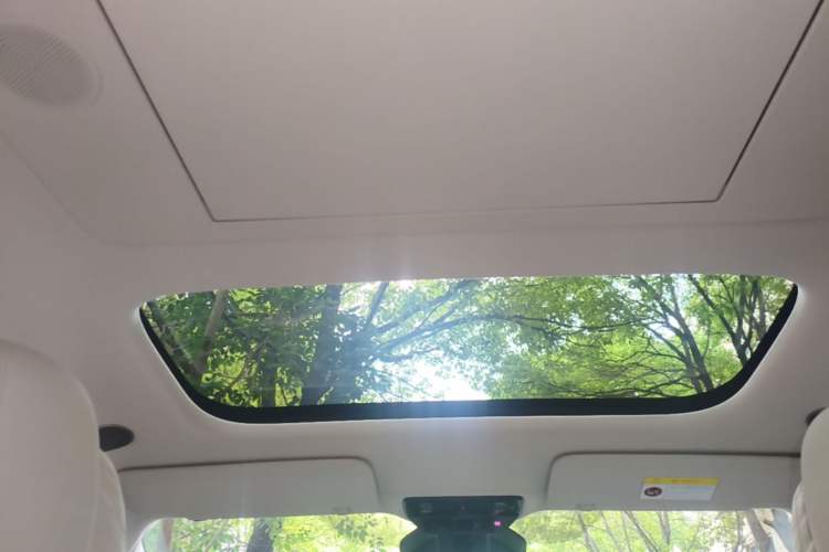 Used Li Auto MEGA 2025 Home Family Special Edition Headliner