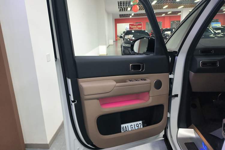 Used Li Auto MEGA 2025 Home Family Special Edition Left Front Door Interior