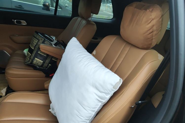 Used Li Auto ONE 2019 Extended-Range 6-Seater Version Left Rear Seat