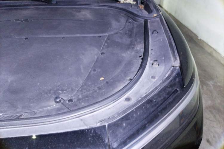 Used Li Auto ONE 2020 Extended-Range 6-Seater Version Engine Bay Left