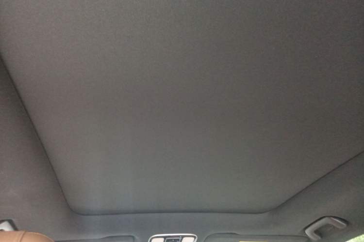 Used Li Auto ONE 2020 Extended-Range 6-Seater Version Headliner