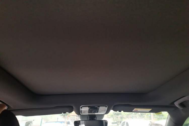 Used Li Auto ONE 2020 Extended-Range 6-Seater Version Headliner