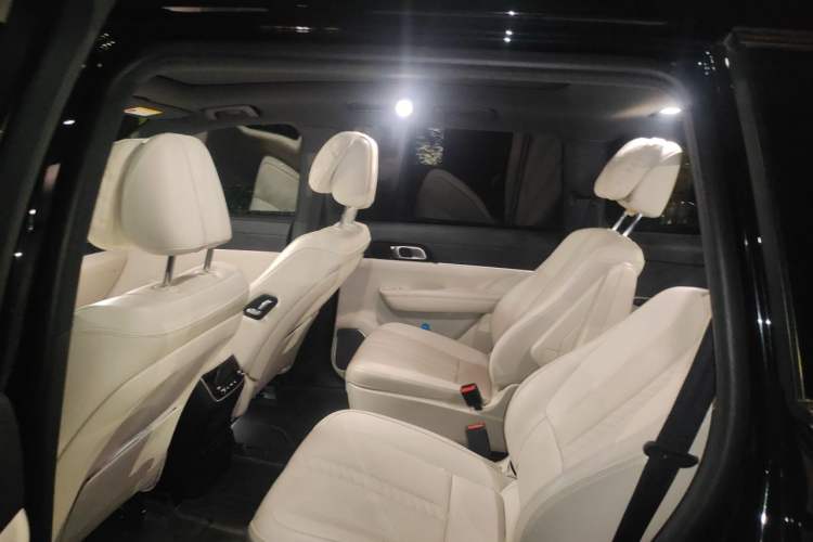 Used Li Auto ONE 2020 Extended-Range 6-Seater Version Left Rear Seat