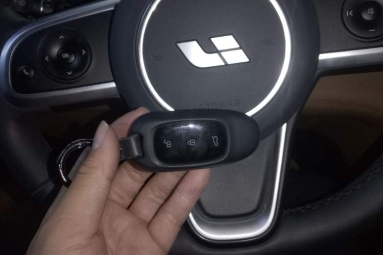 Used Li Auto ONE 2020 Extended-Range 6-Seater Version Vehicle Key