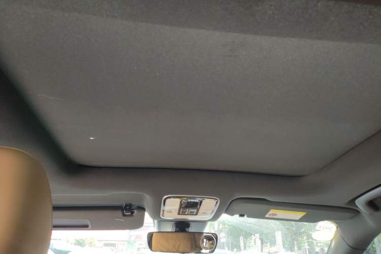 Used Li Auto ONE 2020 Extended-Range 6-Seater Version Headliner