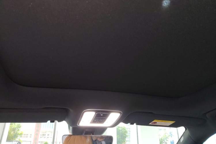 Used Li Auto ONE 2020 Extended-Range 6-Seater Version Headliner