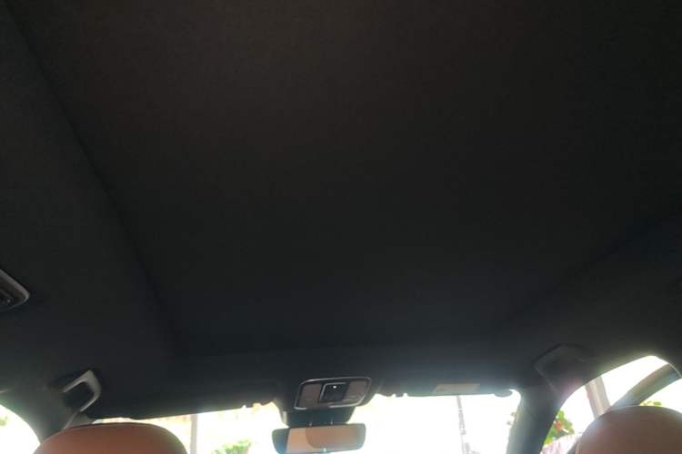 Used Li Auto ONE 2020 Extended-Range 6-Seater Version Headliner