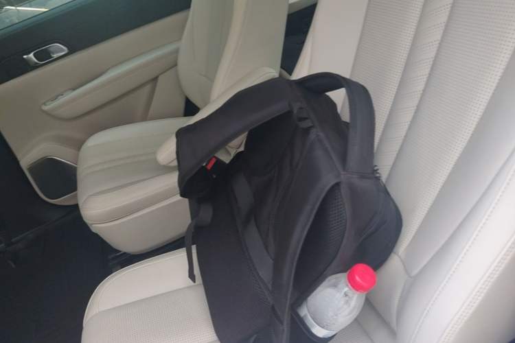 Used Li Auto ONE 2020 Extended-Range 6-Seater Version Left Rear Seat
