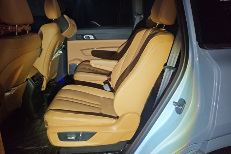 Used Li Auto ONE 2020 Extended-Range 6-Seater Version Left Rear Seat