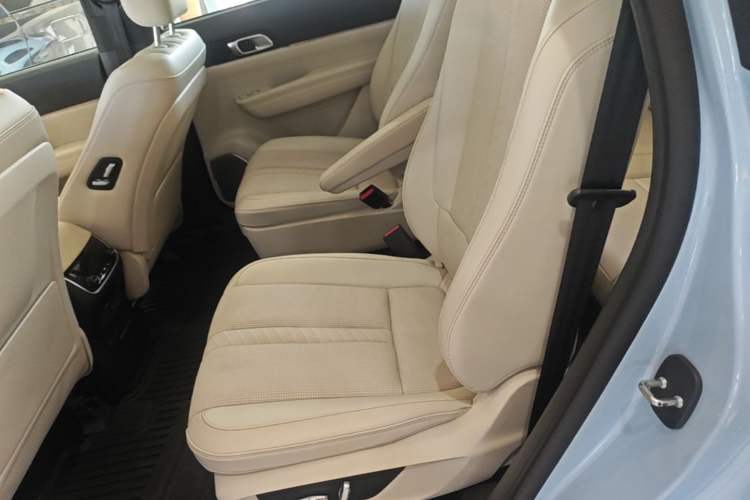 Used Li Auto ONE 2020 Extended-Range 6-Seater Version Left Rear Seat