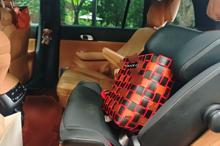 Used Li Auto ONE 2020 Extended-Range 6-Seater Version Left Rear Seat