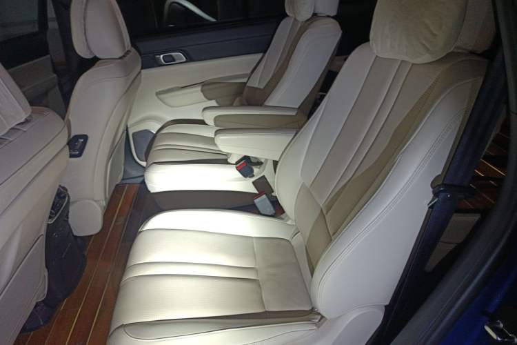 Used Li Auto ONE 2020 Extended-Range 6-Seater Version Left Rear Seat