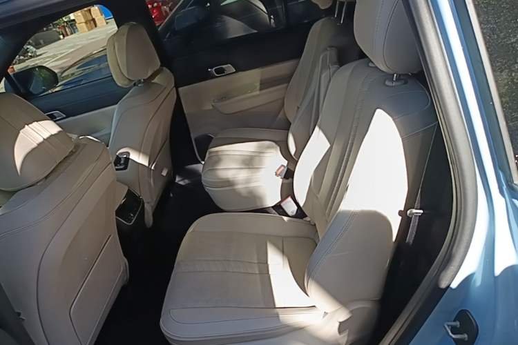 Used Li Auto ONE 2020 Extended-Range 6-Seater Version Left Rear Seat