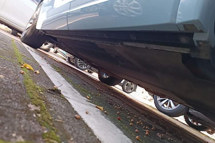 Used Li Auto ONE 2020 Extended-Range 6-Seater Version Left Side Sill