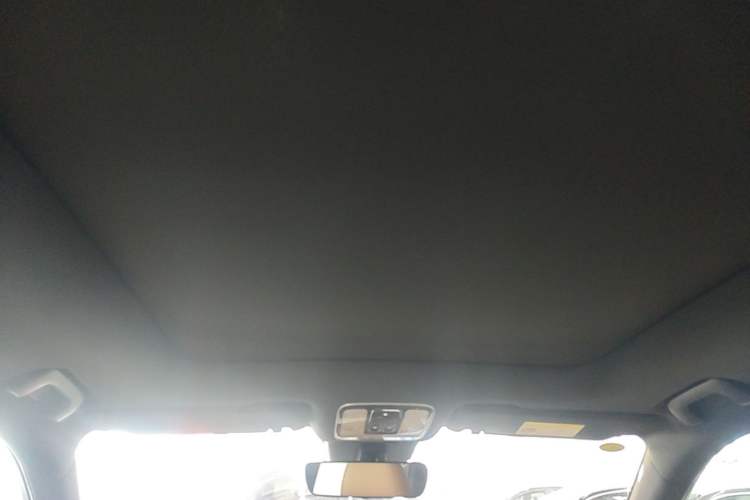 Used Li Auto ONE 2020 Extended-Range 6-Seater Version Headliner