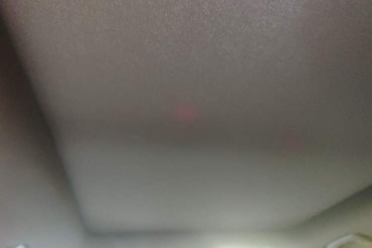 Used Li Auto ONE 2020 Extended-Range 6-Seater Version Headliner