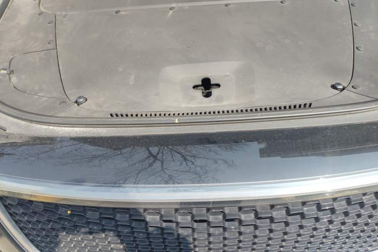 Used Li Auto ONE 2020 Extended-Range 6-Seater Version Engine Bay