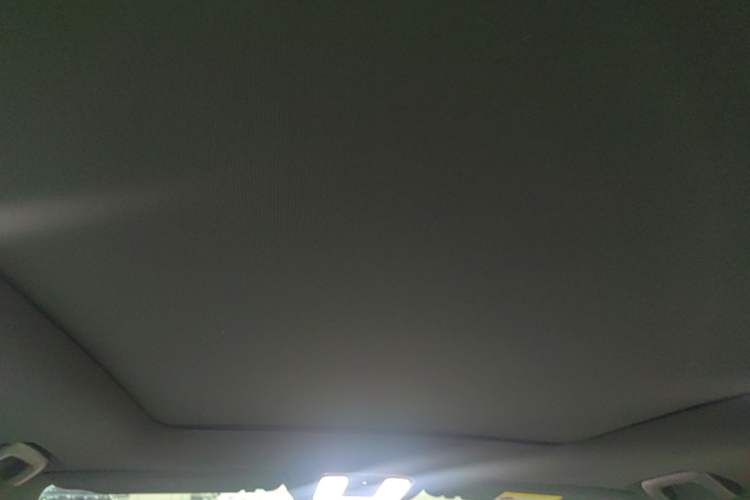 Used Li Auto ONE 2020 Extended-Range 6-Seater Version Headliner