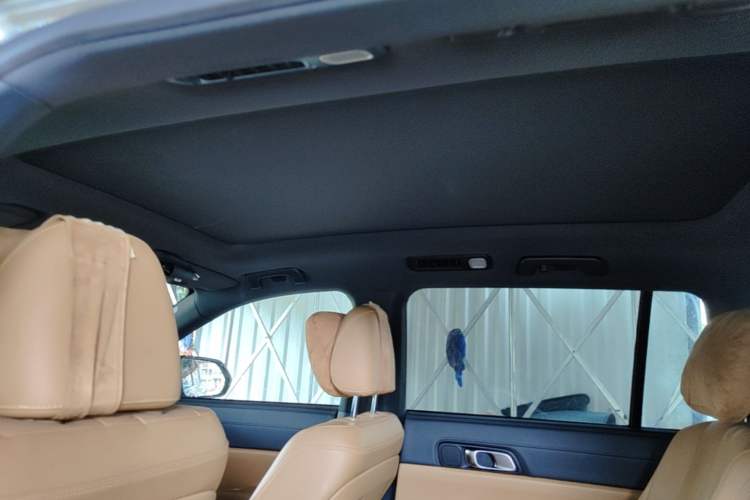 Used Li Auto ONE 2020 Extended-Range 6-Seater Version Headliner