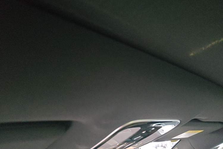 Used Li Auto ONE 2020 Extended-Range 6-Seater Version Headliner