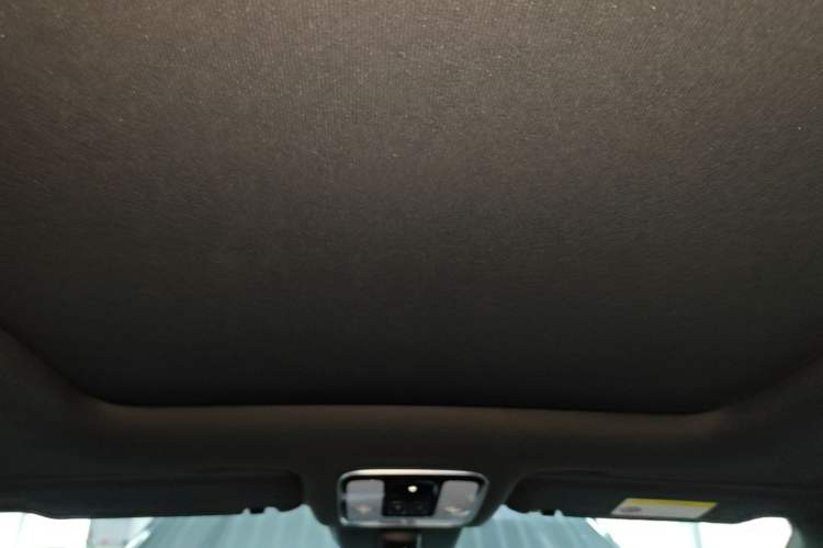 Used Li Auto ONE 2020 Extended-Range 6-Seater Version Headliner