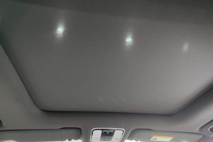 Used Li Auto ONE 2020 Extended-Range 6-Seater Version Headliner