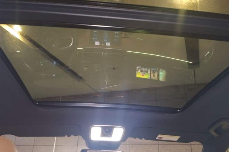 Used Li Auto ONE 2020 Extended-Range 6-Seater Version Headliner