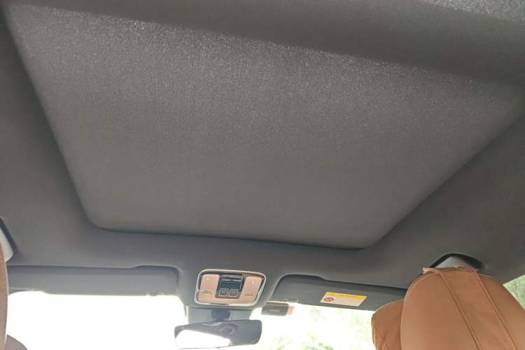 Used Li Auto ONE 2020 Extended-Range 6-Seater Version Headliner