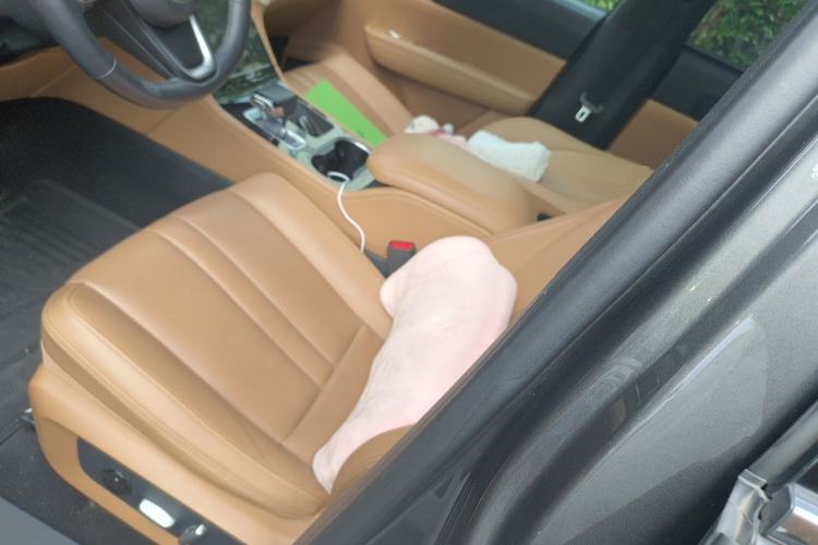 Used Li Auto ONE 2020 Extended-Range 6-Seater Version Left Front Seat