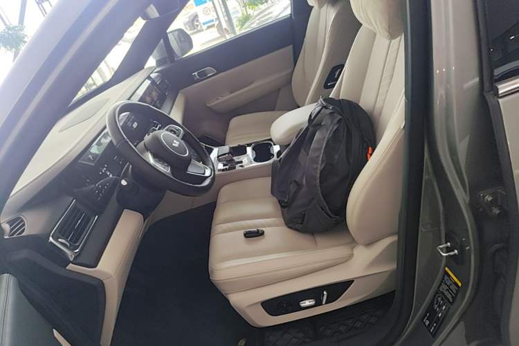 Used Li Auto ONE 2020 Extended-Range 6-Seater Version Left Front Seat