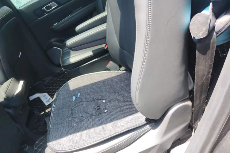 Used Li Auto ONE 2020 Extended-Range 6-Seater Version Left Rear Seat