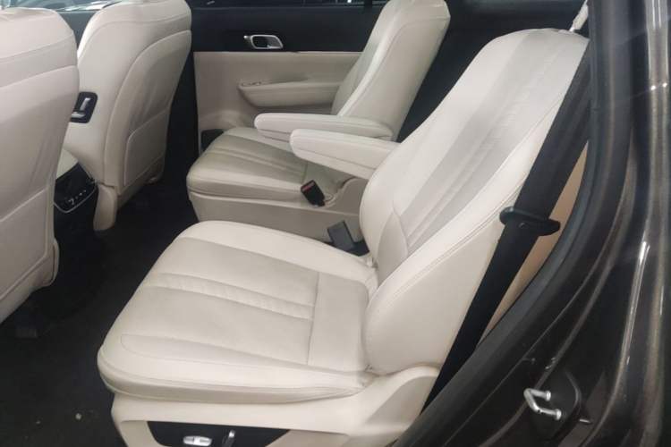Used Li Auto ONE 2020 Extended-Range 6-Seater Version Left Rear Seat