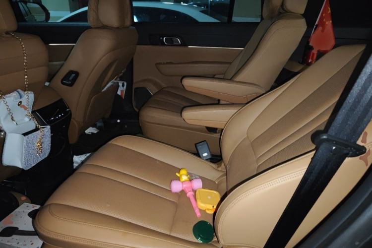 Used Li Auto ONE 2020 Extended-Range 6-Seater Version Left Rear Seat