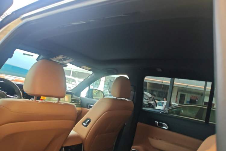 Used Li Auto ONE 2020 Extended-Range 6-Seater Version Headliner