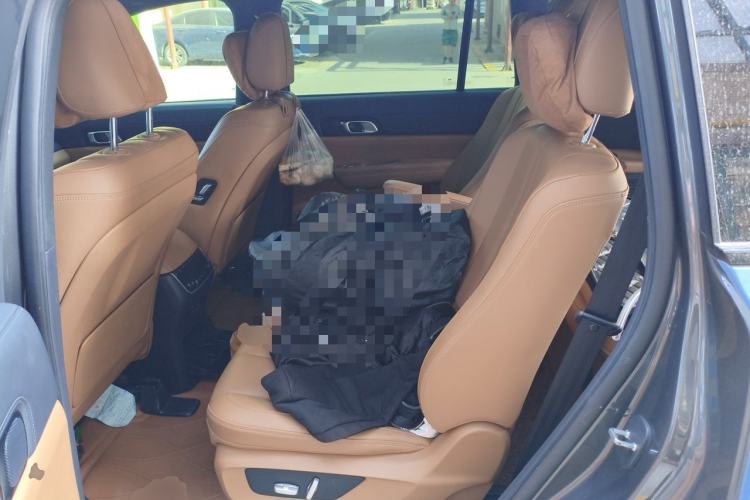 Used Li Auto ONE 2020 Extended-Range 6-Seater Version Left Rear Seat