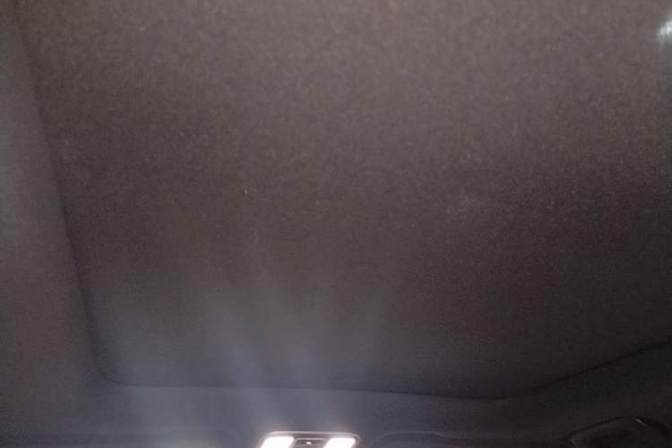 Used Li Auto ONE 2020 Extended-Range 6-Seater Version Headliner