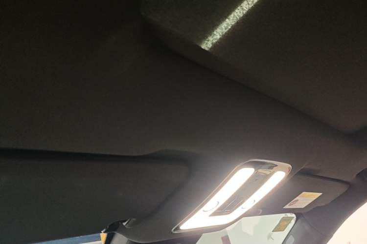 Used Li Auto ONE 2020 Extended-Range 6-Seater Version Headliner