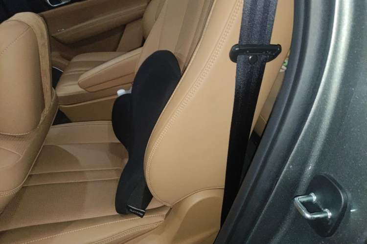 Used Li Auto ONE 2020 Extended-Range 6-Seater Version Left Rear Seat