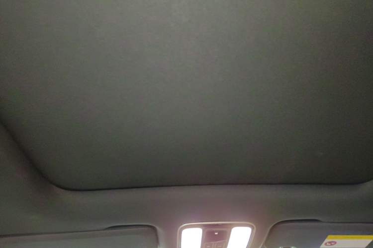 Used Li Auto ONE 2020 Extended-Range 6-Seater Version Headliner