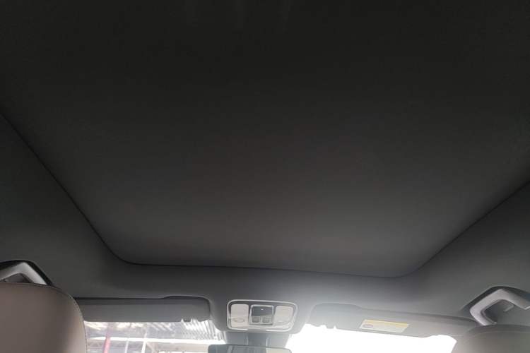 Used Li Auto ONE 2020 Extended-Range 6-Seater Version Headliner
