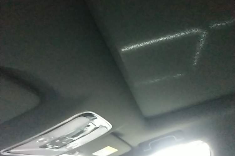 Used Li Auto ONE 2020 Extended-Range 6-Seater Version Headliner
