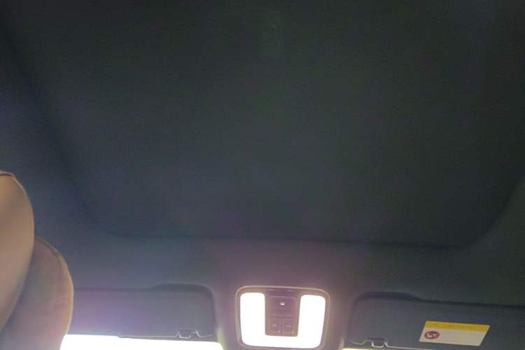 Used Li Auto ONE 2020 Extended-Range 6-Seater Version Headliner