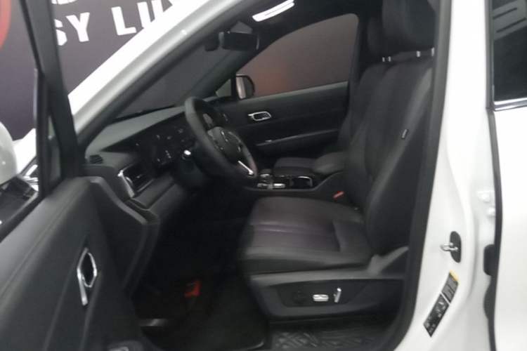 Used Li Auto ONE 2020 Extended-Range 6-Seater Version Left Front Seat