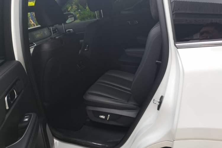 Used Li Auto ONE 2020 Extended-Range 6-Seater Version Left Rear Seat