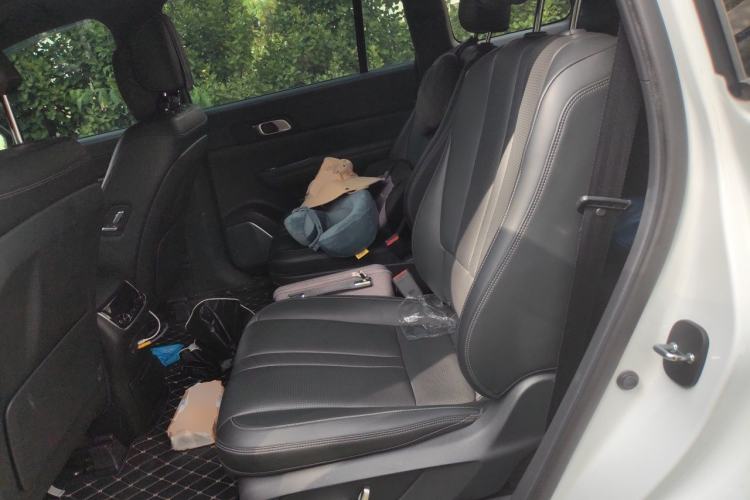 Used Li Auto ONE 2020 Extended-Range 6-Seater Version Left Rear Seat