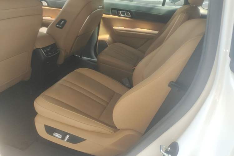 Used Li Auto ONE 2020 Extended-Range 6-Seater Version Left Rear Seat