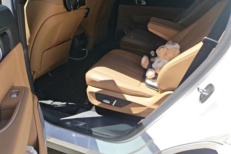 Used Li Auto ONE 2020 Extended-Range 6-Seater Version Left Rear Seat