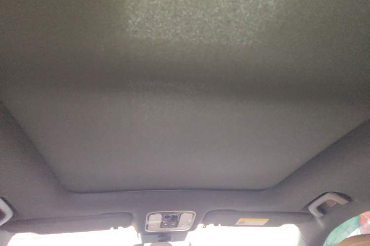 Used Li Auto ONE 2021 Extended-Range 6-Seater Version Headliner