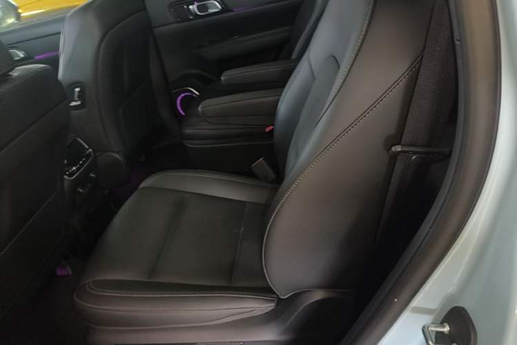 Used Li Auto ONE 2021 Extended-Range 6-Seater Version Left Rear Seat