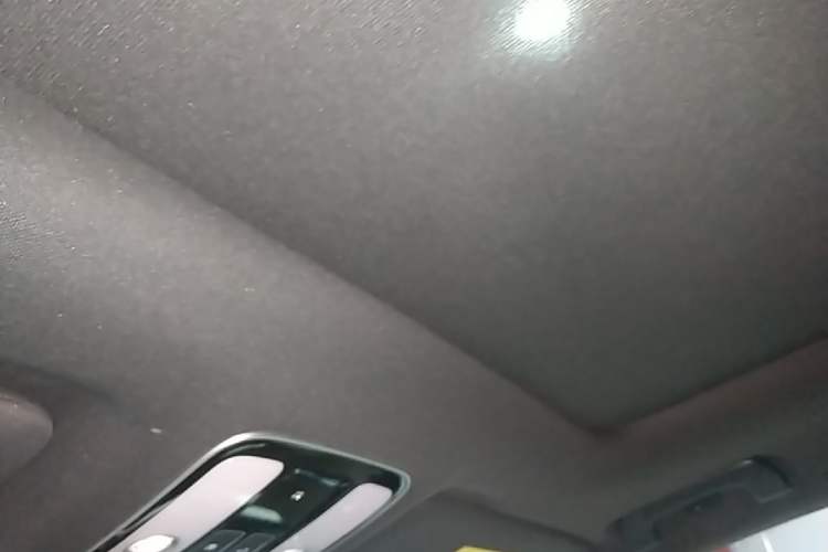 Used Li Auto ONE 2021 Extended-Range 6-Seater Version Headliner
